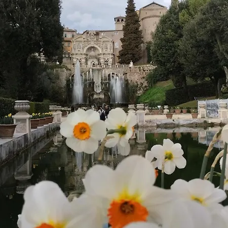 Alf E Ann Lejlighed Tivoli Terme